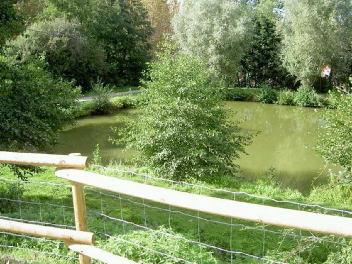 Holiday home Charmant Gite Renove Avec Jardin, Terrasse, Cheminee Et Wifi - Animaux Acceptes - Fr-1-489-22 Chatel-de-Neuvre
